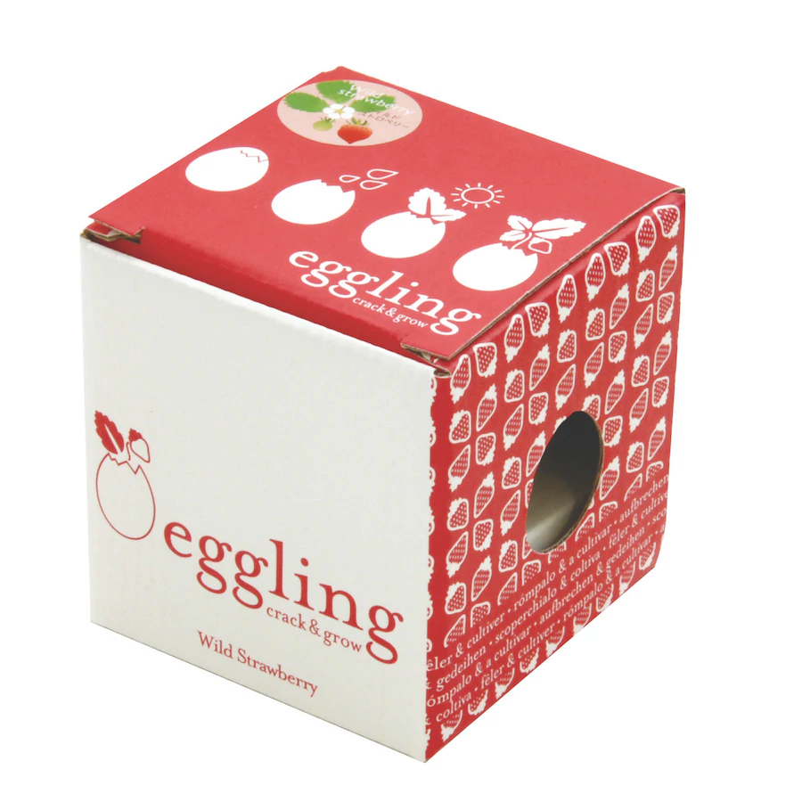 Noted Home Decor Strawberry Eggling Mini  Garden