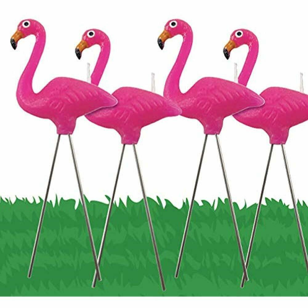 NuOp Design Funny Novelties Flamingo Birthday Candles