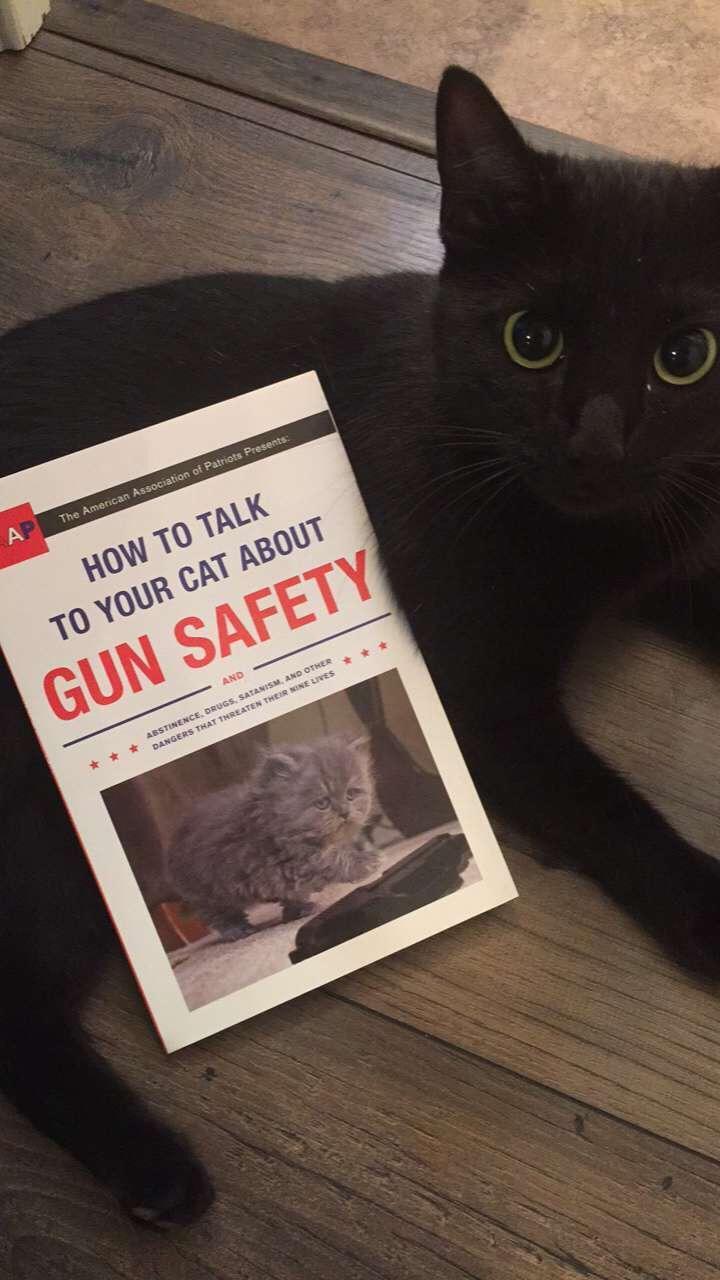 TALK TO YOUR CAT ABOUT GUN SAFETY 