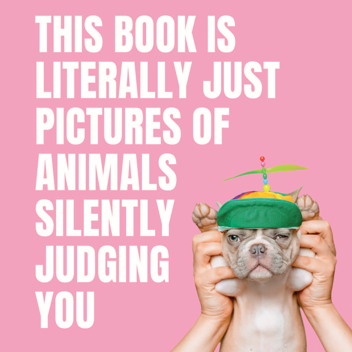 Random House Books Pictures of Animals Silently Judging you Book