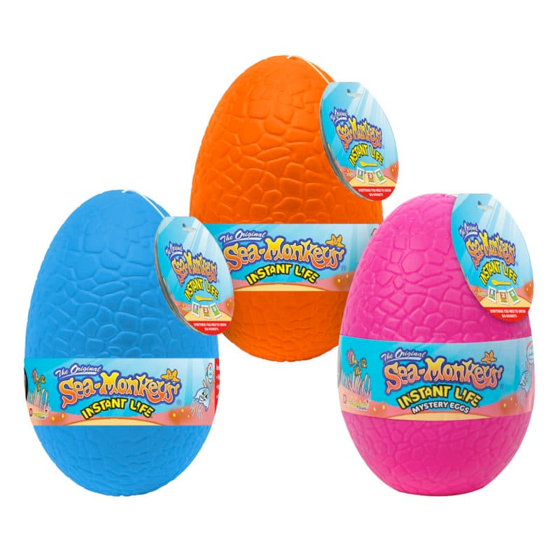 Schylling Toy Science Sea-Monkey Instant Life Egg