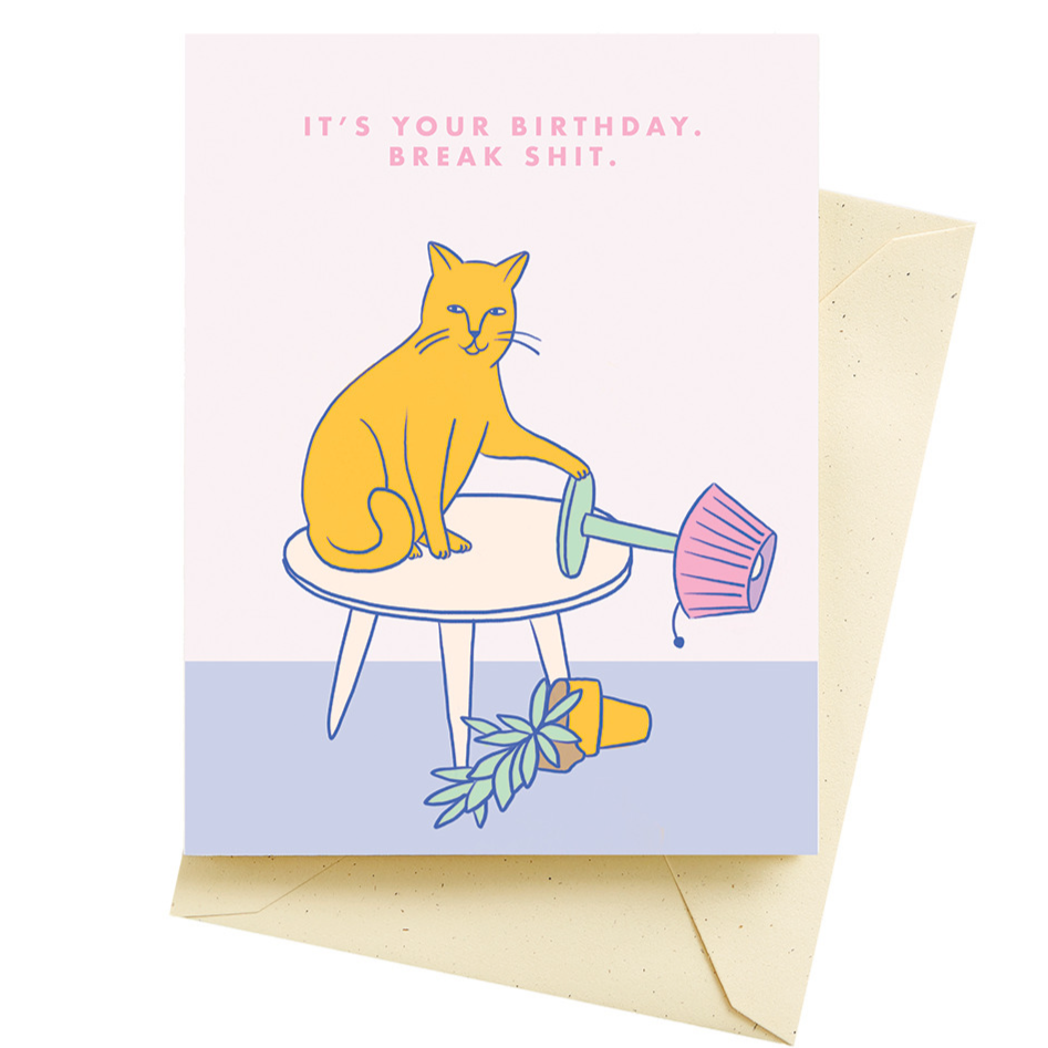 Seltzer Greeting Cards Break Shit- It's your birthday Card