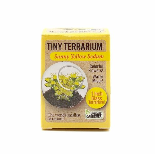 Silver Circle Products Toy Science Sunny Yellow Tiny Terrarium Sedum