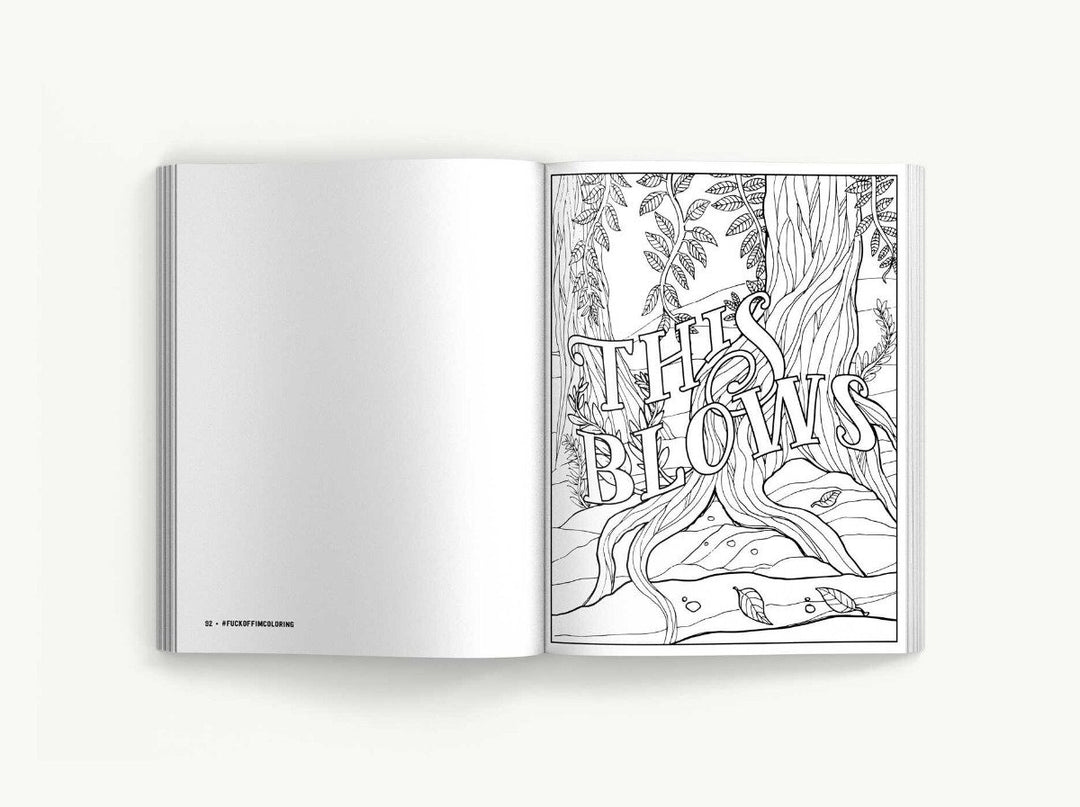 Simon & Schuster Books Fuck Off I'm Coloring Book