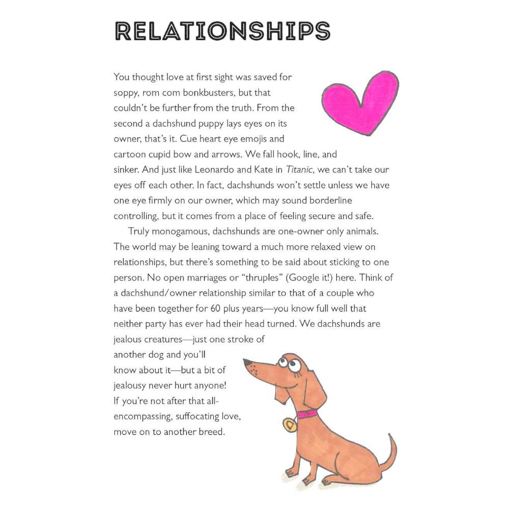 Simon & Schuster Books Life Lessons from a Dachshund