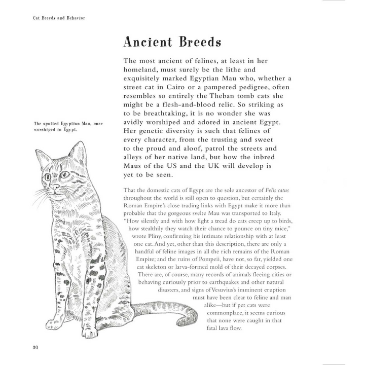 Simon & Schuster Books Talk to Your Cat Book