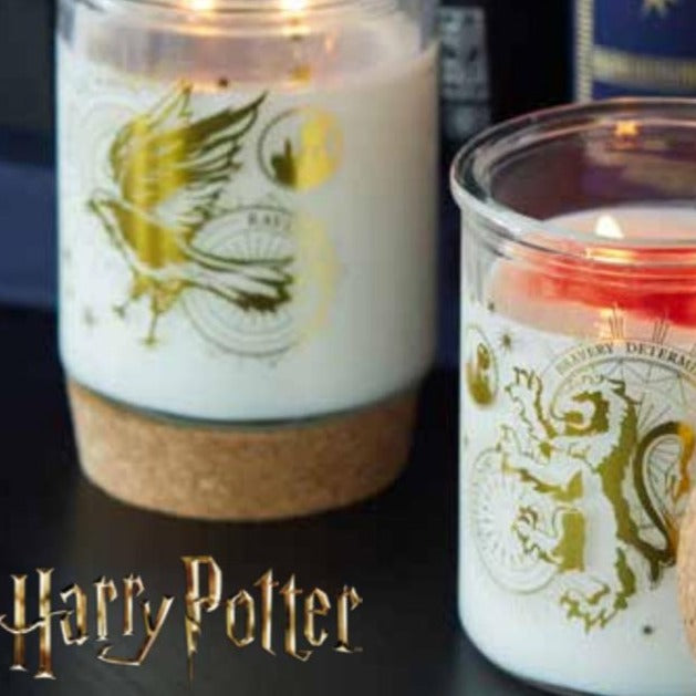 Simon & Schuster Home Decor Harry Potter Magical House Candle