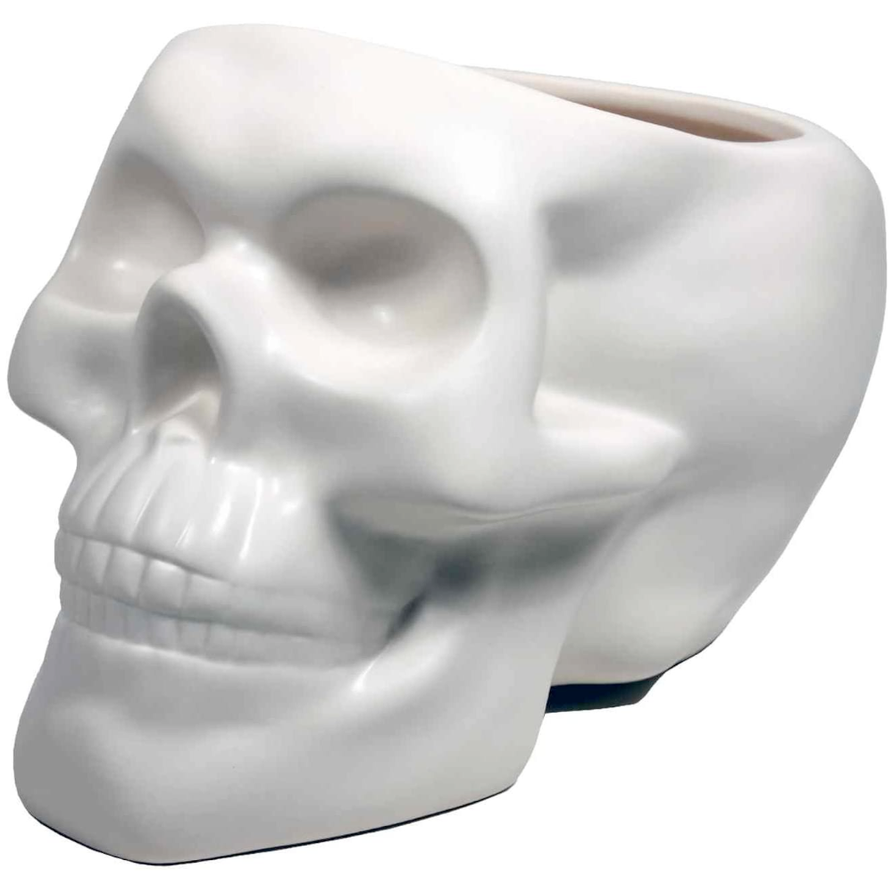 Streamline Home Decor Bone Skull Planter Pot