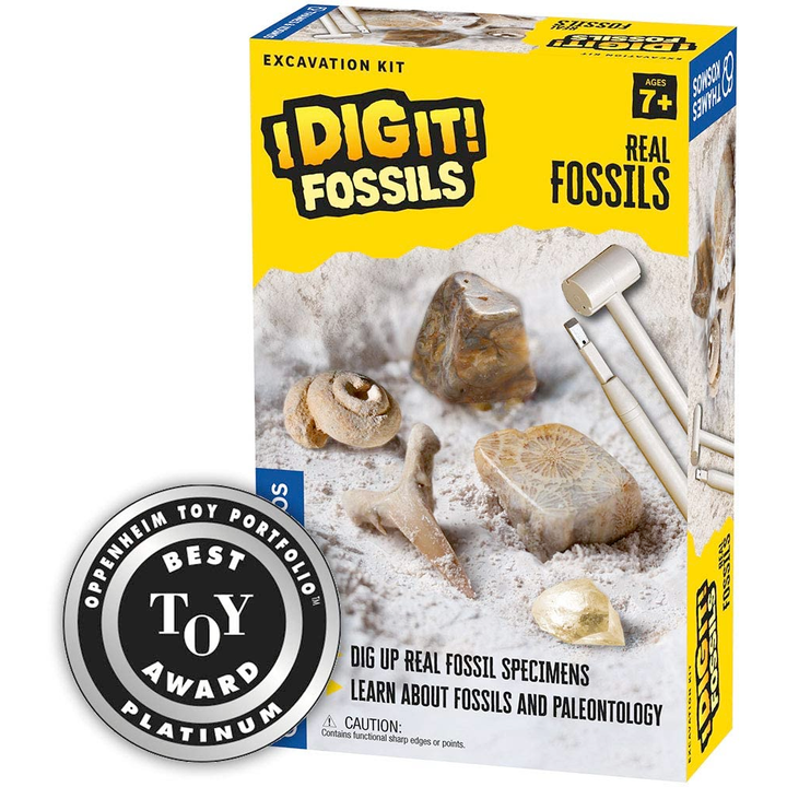 Thames & Kosmos Toy Science I Dig It! Fossils - Real Fossils Excavation Kit