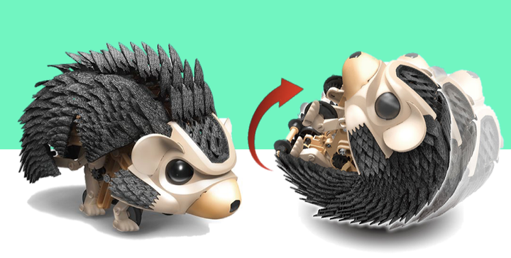 Thames & Kosmos Toy Science My Robotic Pet - Tumbling Hedgehog