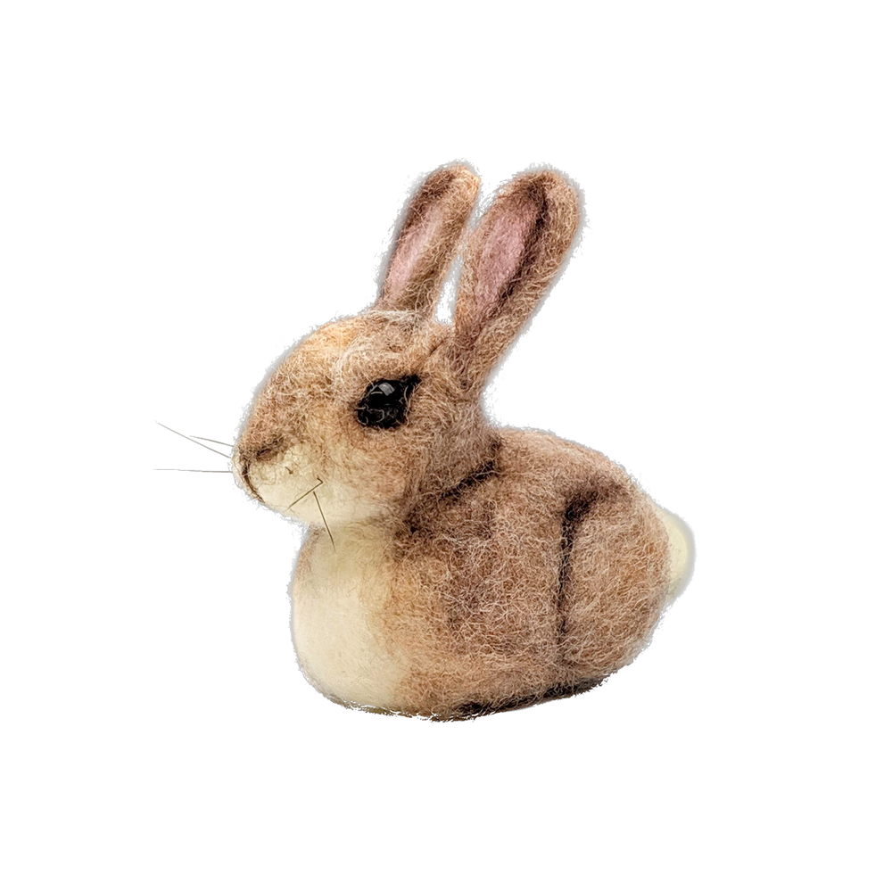 The Crafty Kit Company Arts & Crafts Baby Bunny Needle Felting Kit