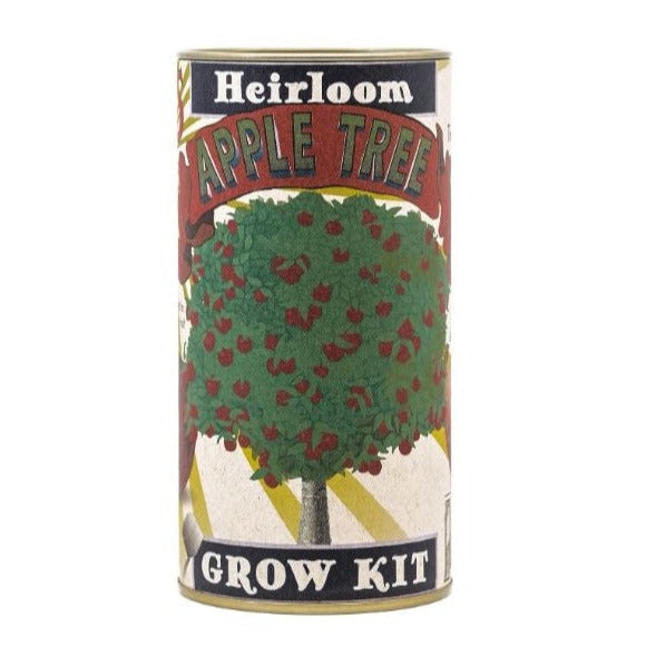 The Jonsteen Company Toy Science Apple Tree Seed Grow Kit