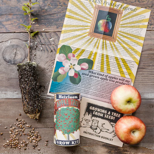 The Jonsteen Company Toy Science Apple Tree Seed Grow Kit