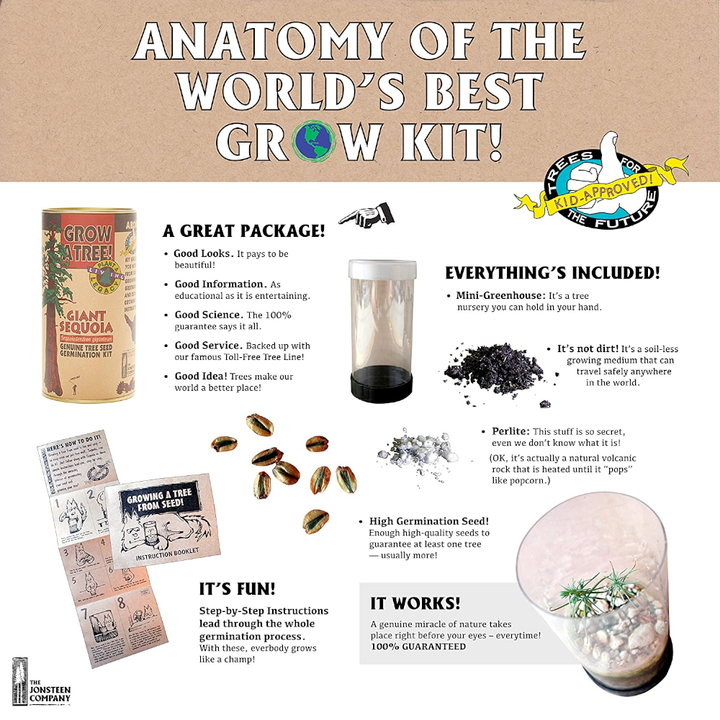 The Jonsteen Company Toy Science Flowering Cherry Blossom Grow Kit