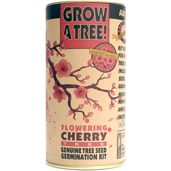 The Jonsteen Company Toy Science Flowering Cherry Blossom Grow Kit