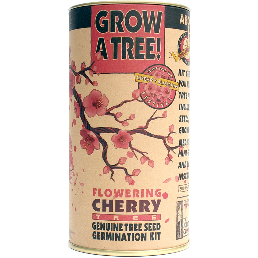 Flowering Cherry Blossom Grow Kit Off the Wagon Shop