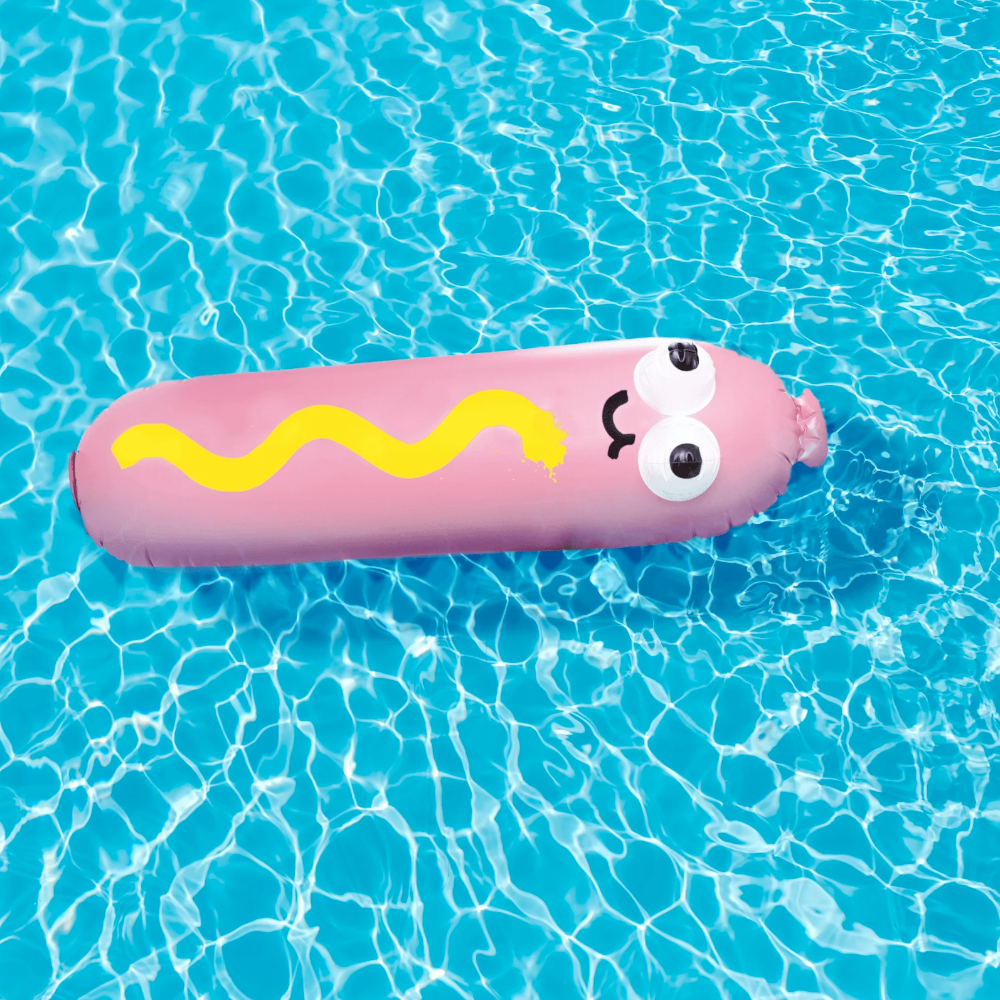 Third Drawer Down Toy Outdoor Fun Hot Diggity Dog Pool Float